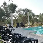 Gli Ulivi *