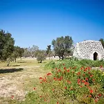 Gli Ulivi Giurdignano