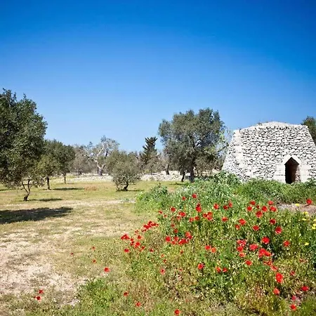 Gli Ulivi Giurdignano